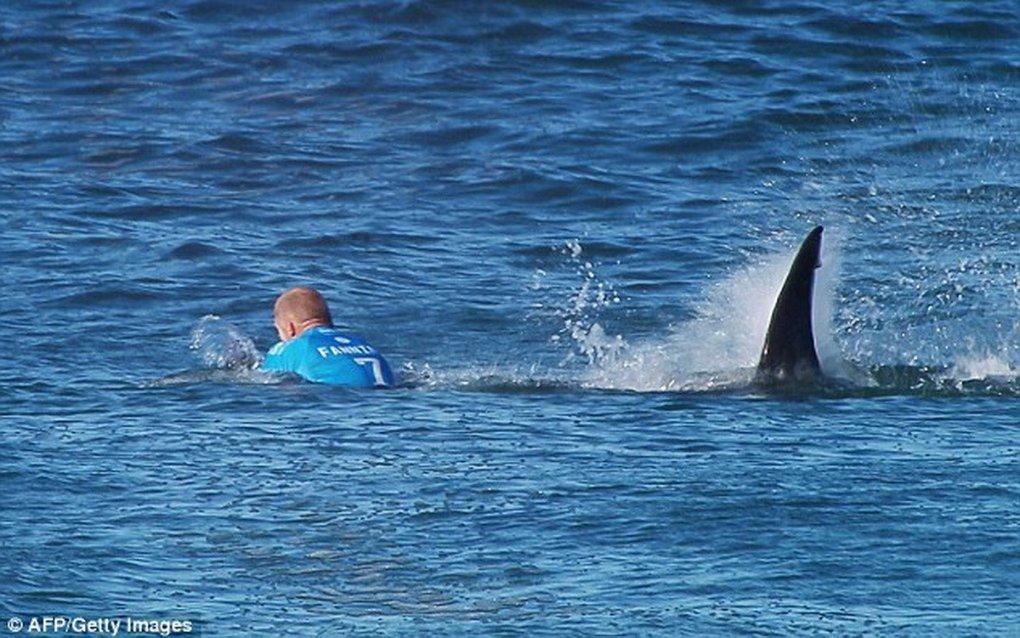 海底世界填颜色3